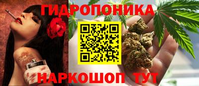 a pvp Краснокаменск